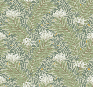 Highgrove Wallpaper by Rifle Paper Co.(6 Colourways)