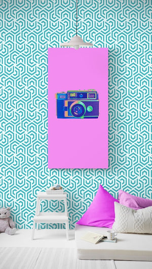 Kodak Aine Camera Art