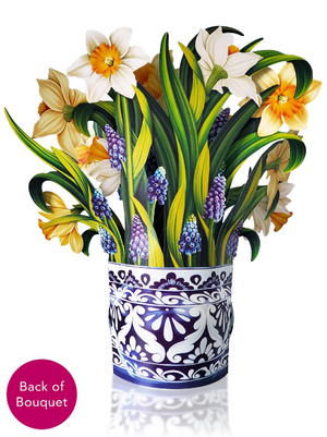 English Daffodils Pop-Up Bouquet