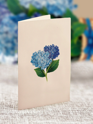 Mini Hydrangeas Pop-Up Bouquet