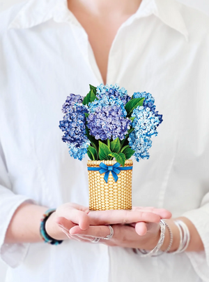 Mini Hydrangeas Pop-Up Bouquet