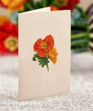 Mini French Poppy Blossom Pop-Up Bouquet