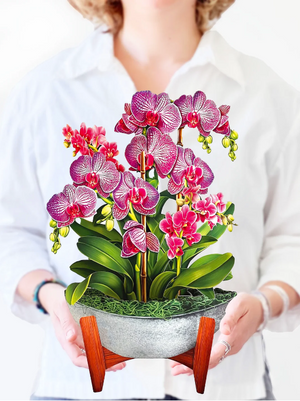 Orchid Oasis Pop-Up Bouquet