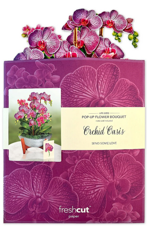 Orchid Oasis Pop-Up Bouquet