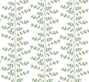 Climbing Vine Wallpaper by Rifle Paper Co. (6 Colourways)