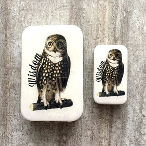 Wise Owl Tin: Large