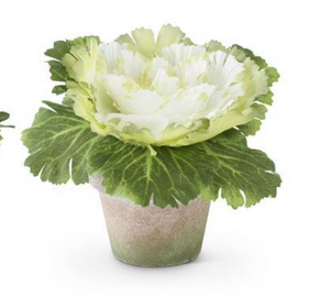 faux white cabbage in pot