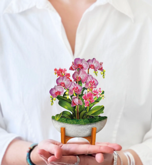 Mini Orchid Oasis Pop-Up Bouquet