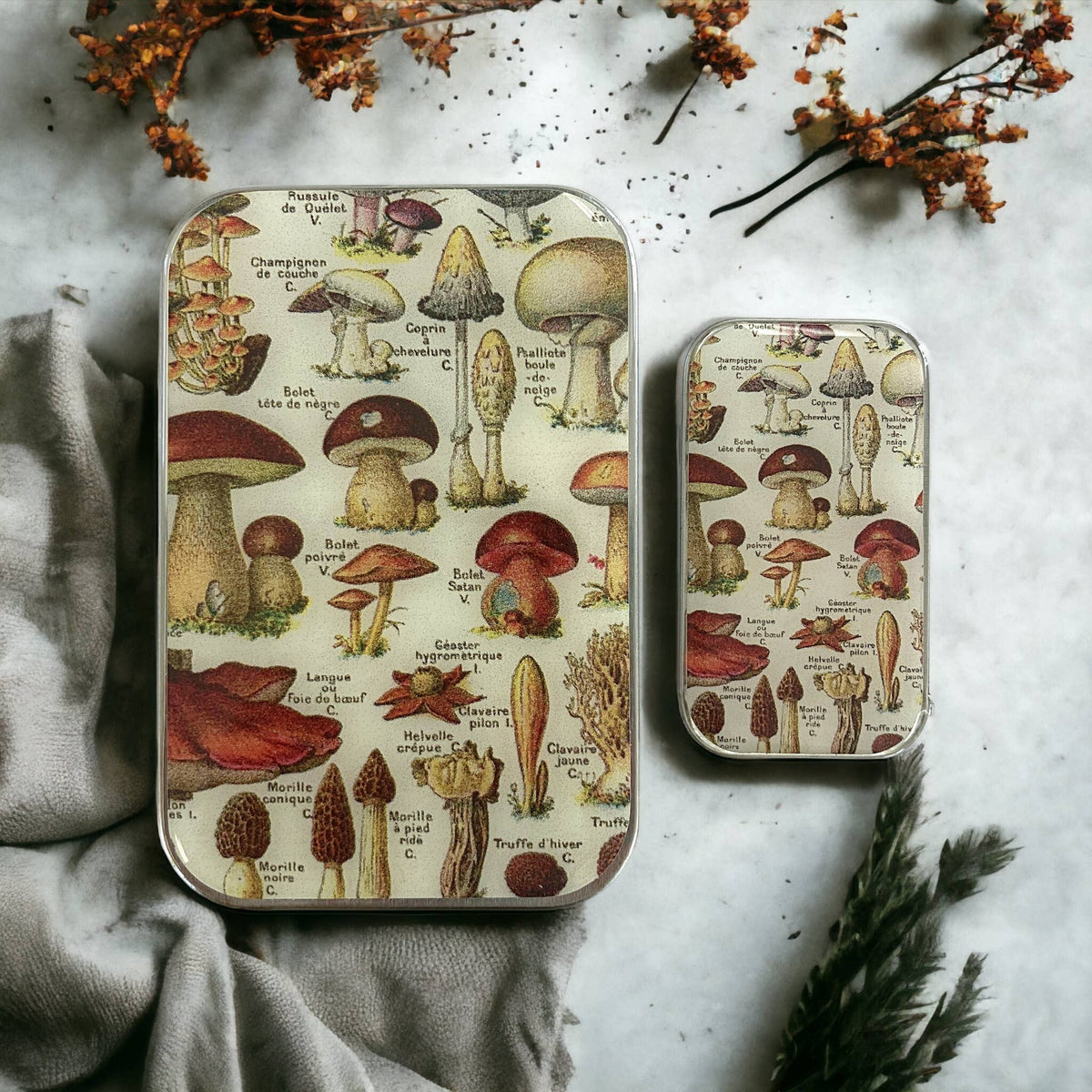 Mushroom Storage Tin: Small