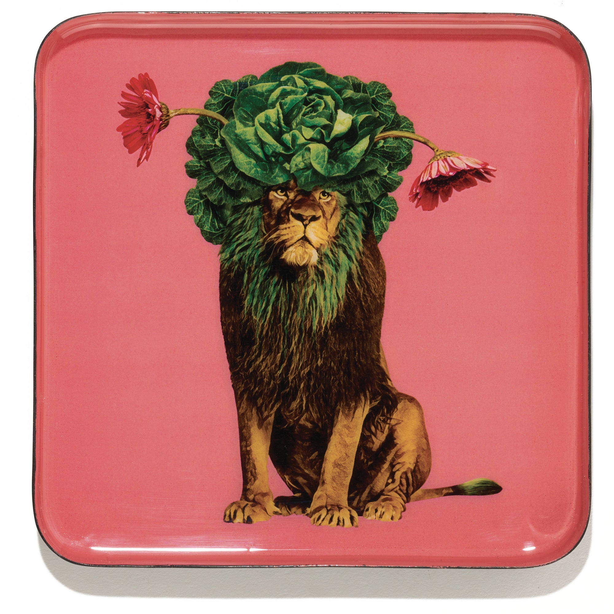 Léo's catchall