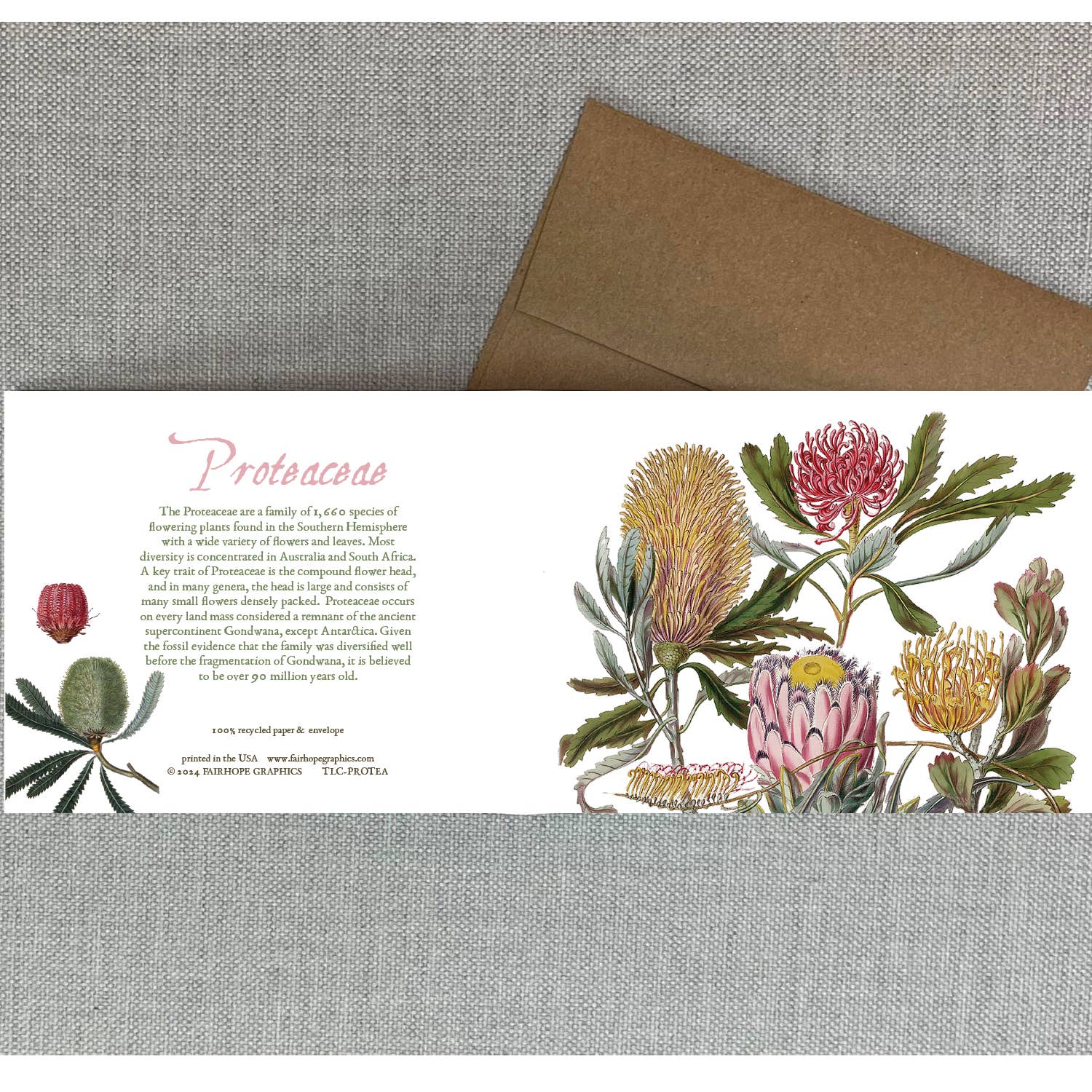 Protea Card