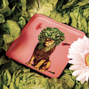 Léo's catchall