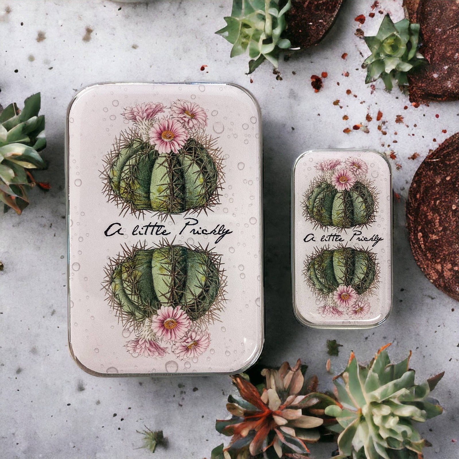Cactus notions tin: Large