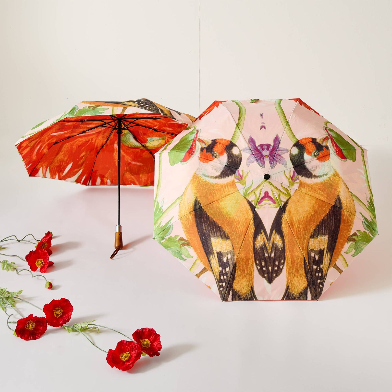 Maria Sybilla Merian Travel Umbrella