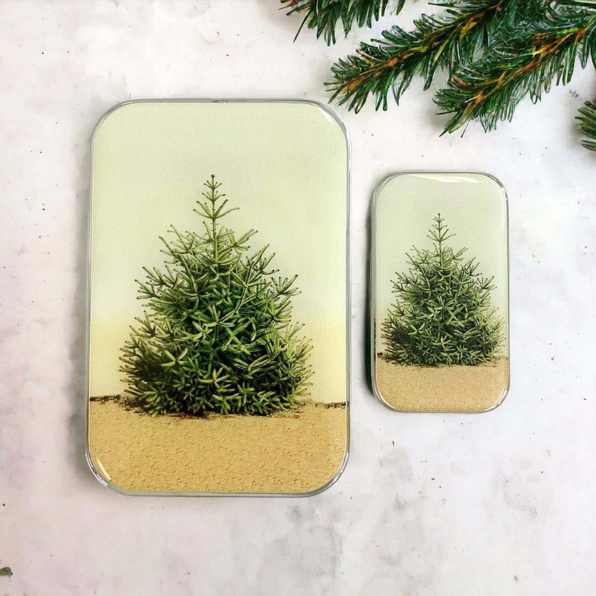 Pine Tree notions tin
