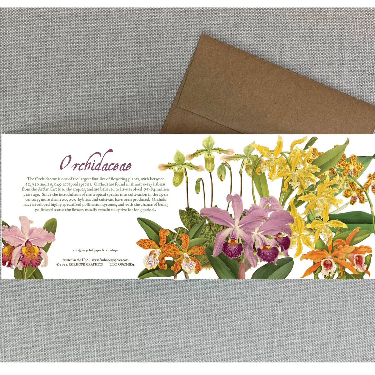 Orchid Card