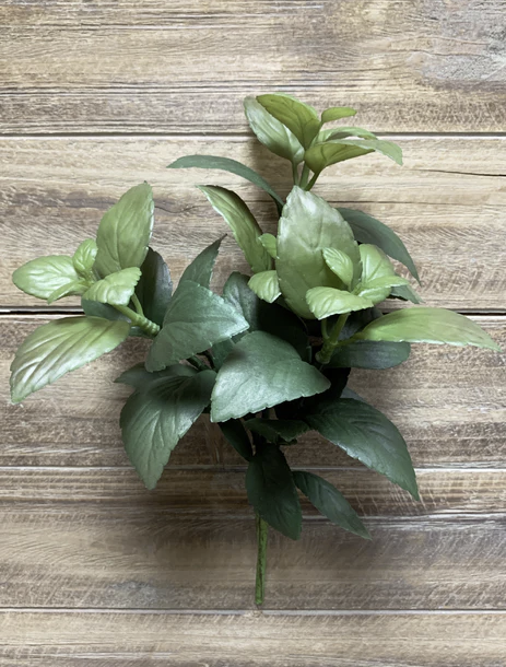 12" Mint Leaf Bush Burgundy