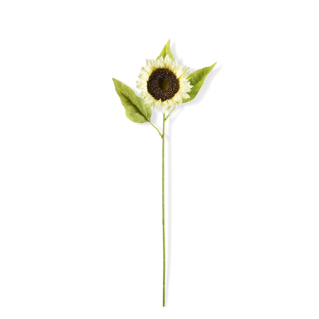 Sunflower - Cream 43"