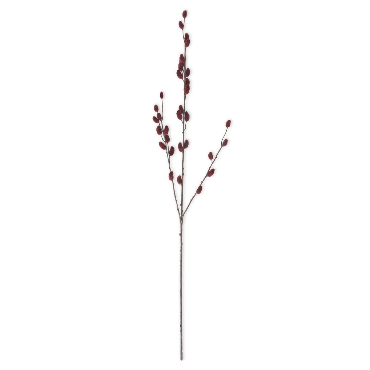 33" Burgundy Pussy Willow Steam