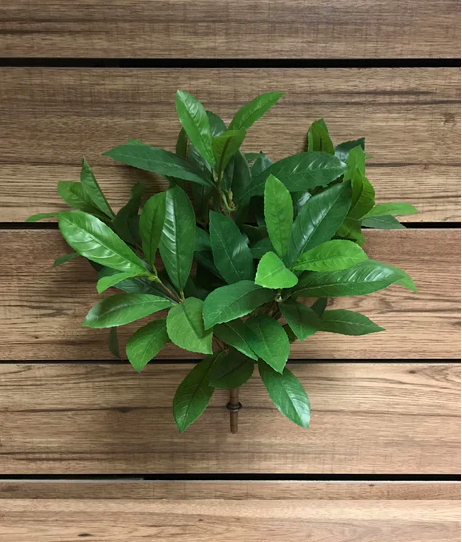 15" Laurel Leaf Bush