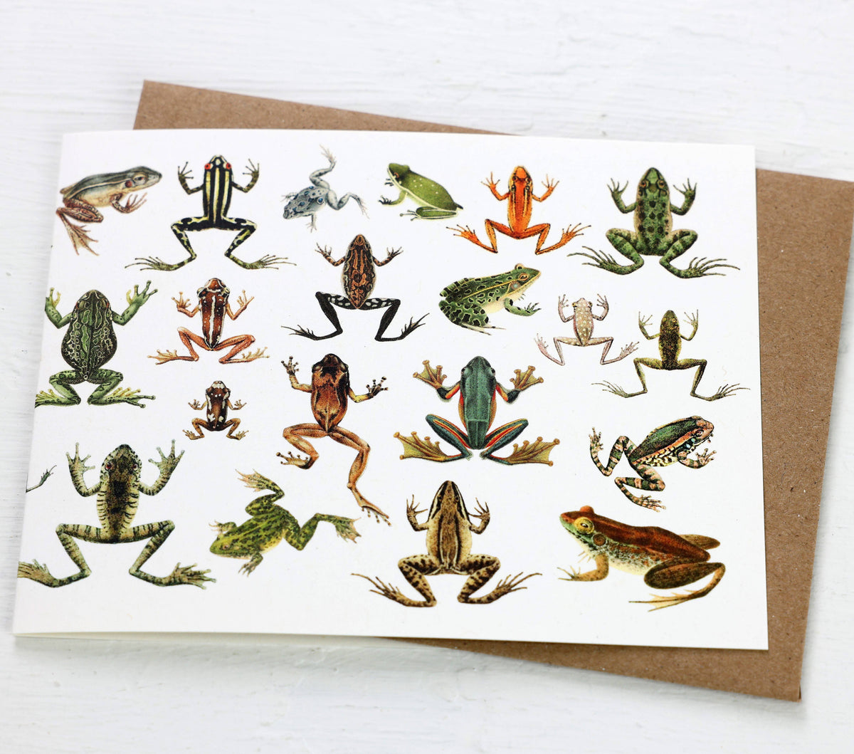 Frogs Card