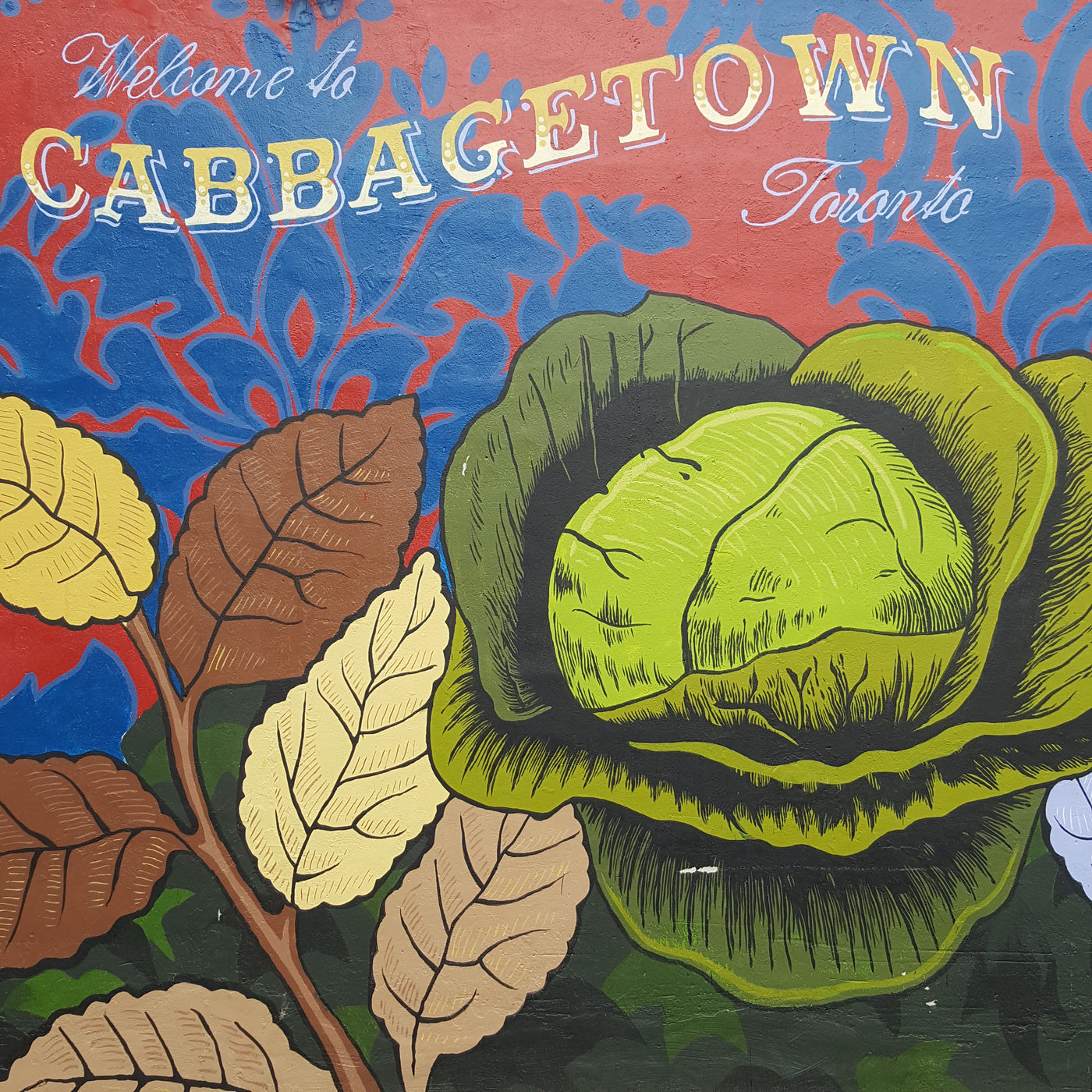 Shop Local, Independent & Colorful