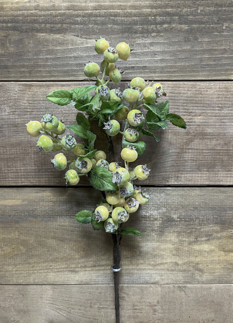20" Green Cranberry Spray