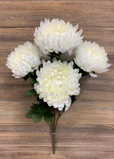 20" White Football Mum Bush