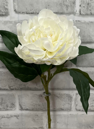 23" Peony Stem