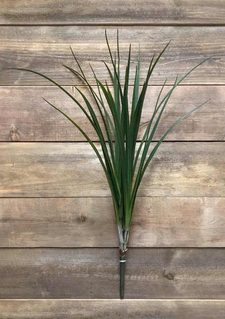 26" Grass Bush