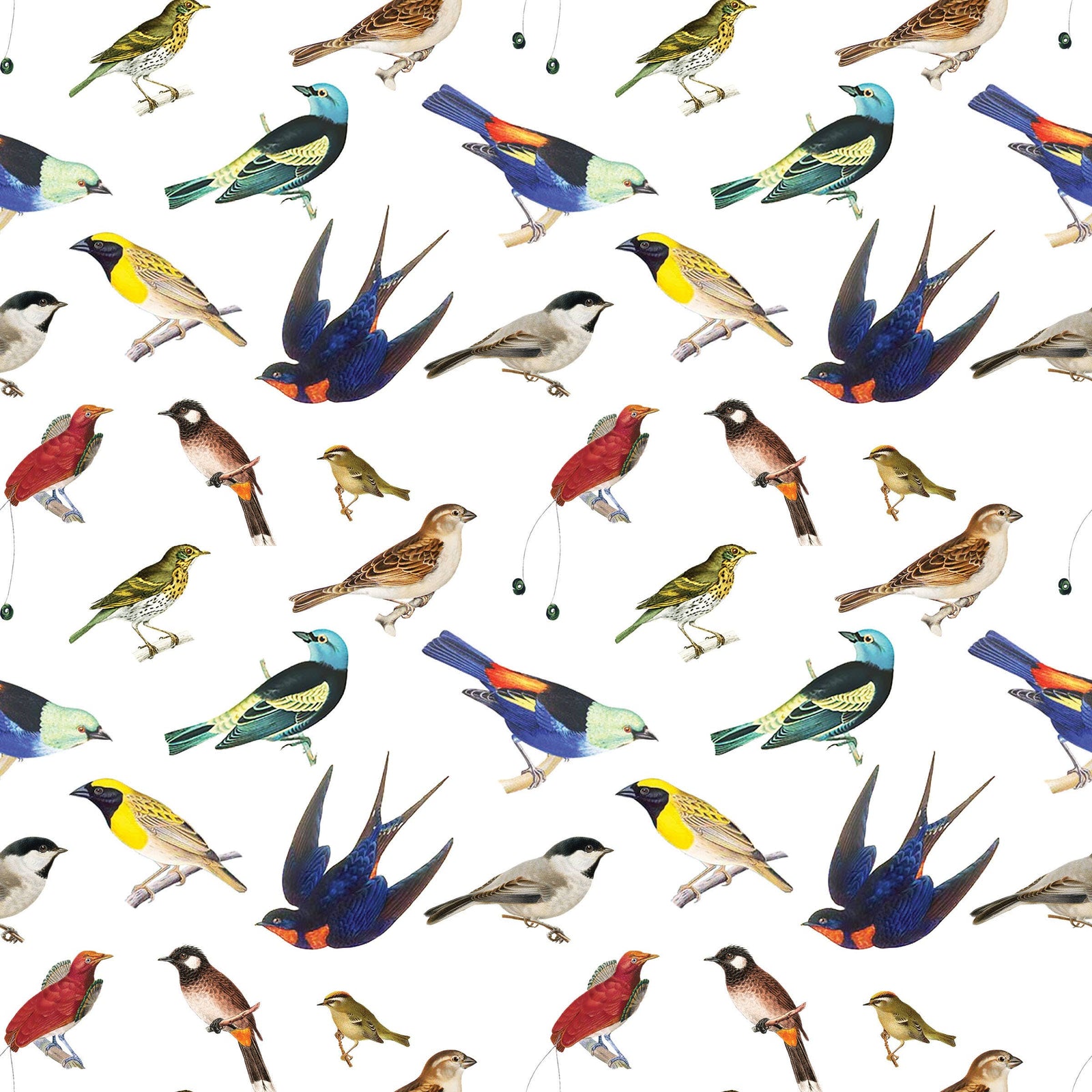 Songbirds Gift Wrap Single Sheet