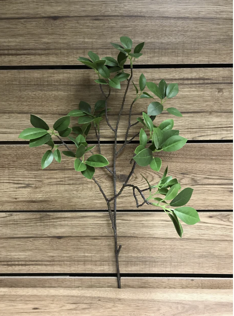 31" Ficus Spray