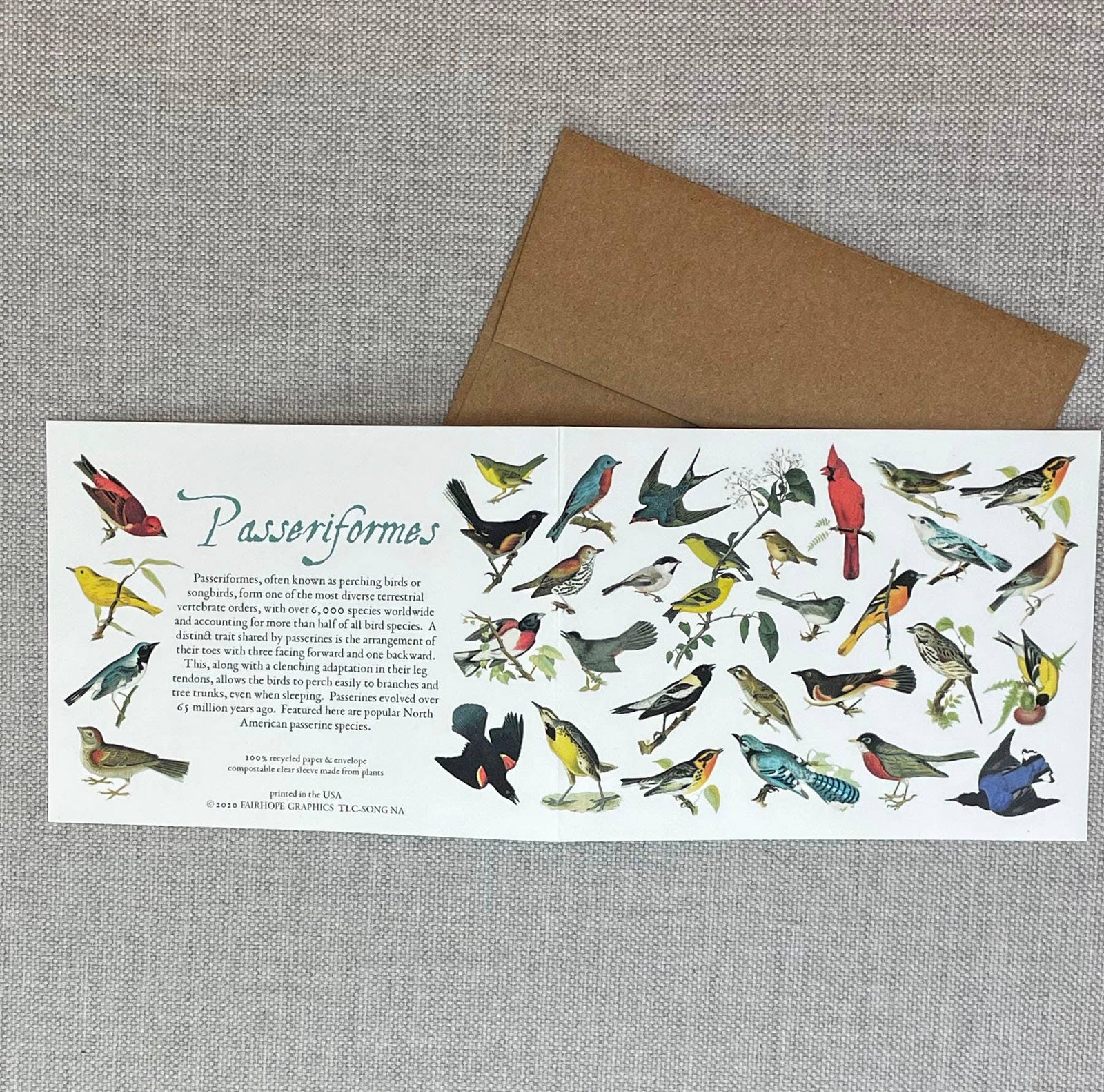 North American Songbirds Card