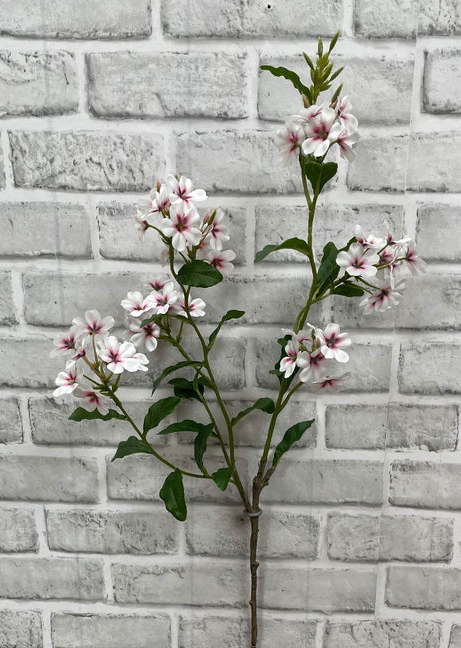 33.5" Pink White Phlox Stem
