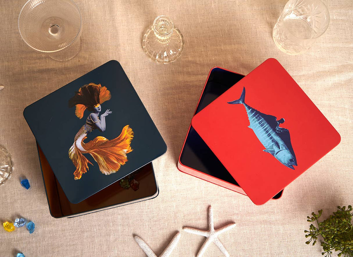 Square Fish Box - Formulation