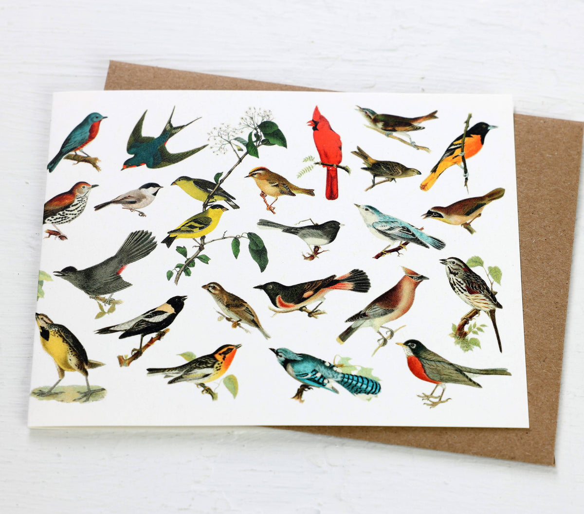 North American Songbirds Card
