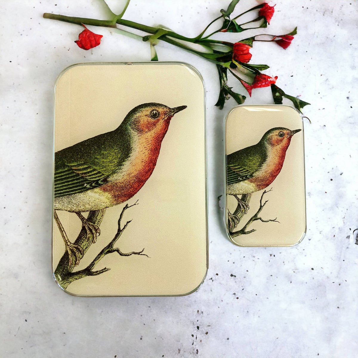 Robin Notions tin: Small