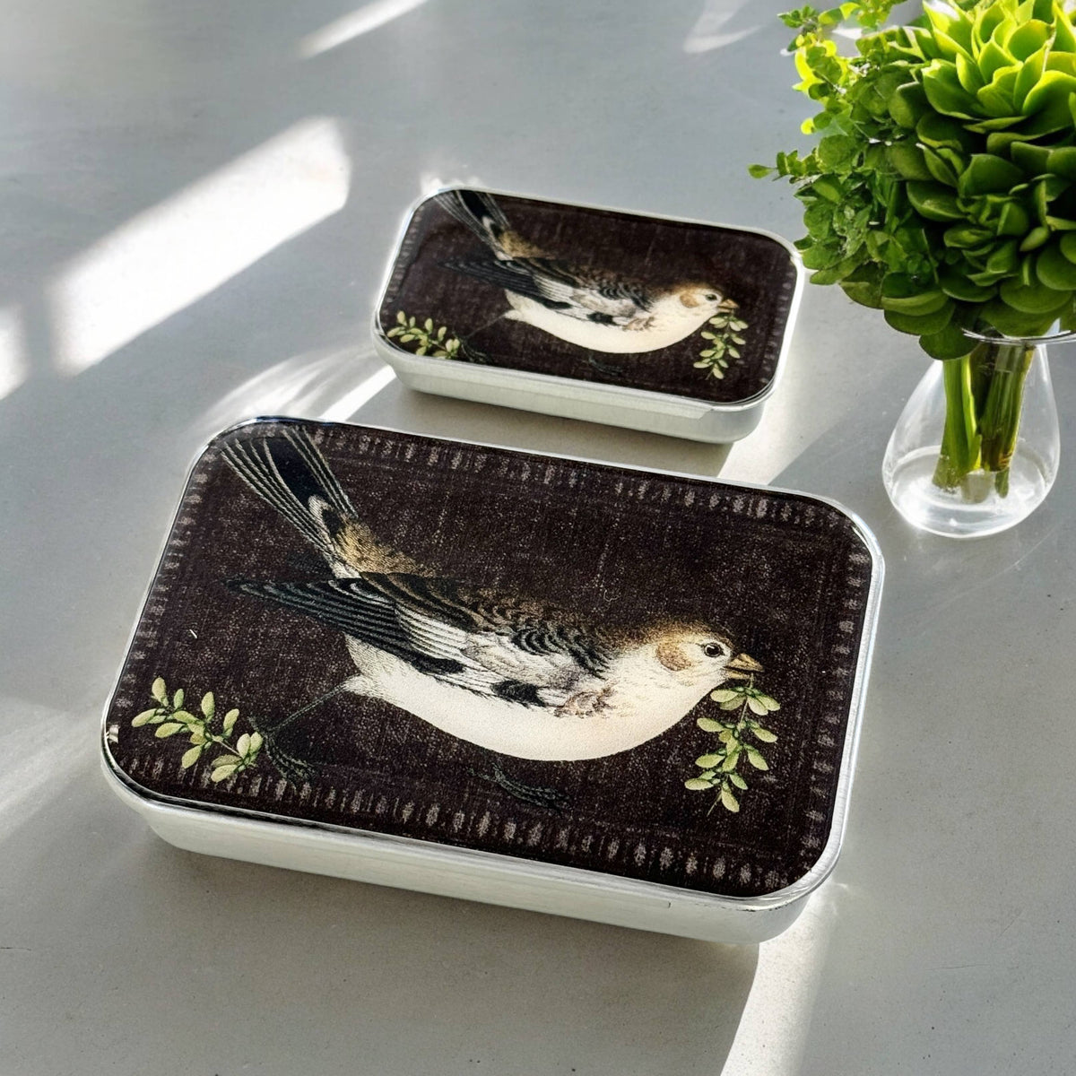 Birdsong Notions Tin: Large