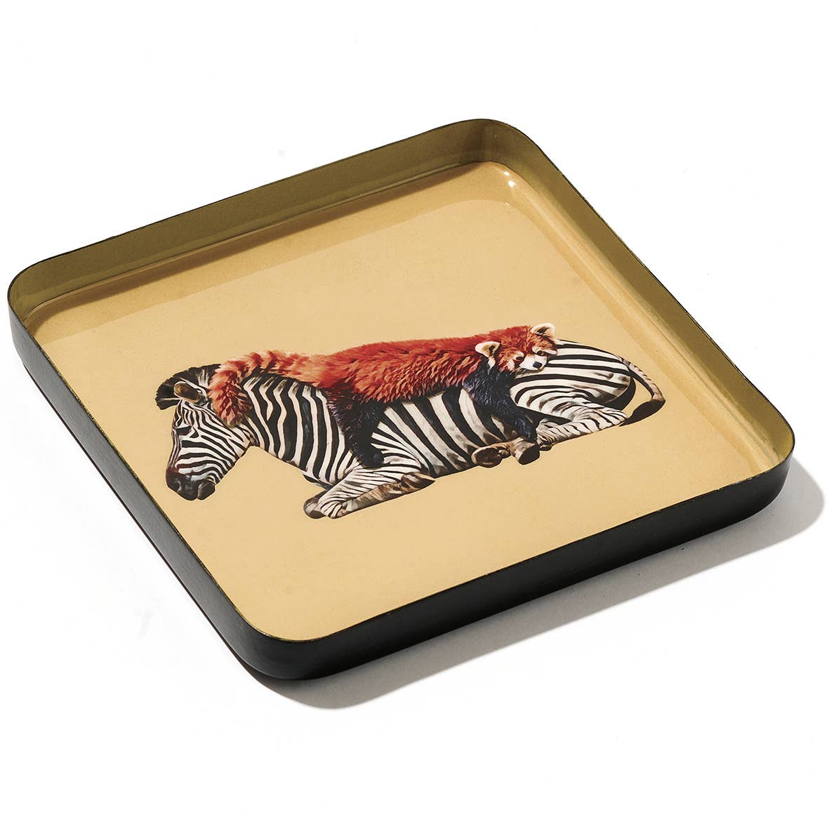 Siesta Catchall Tray