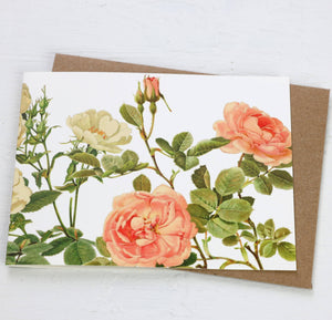 Rosa Card