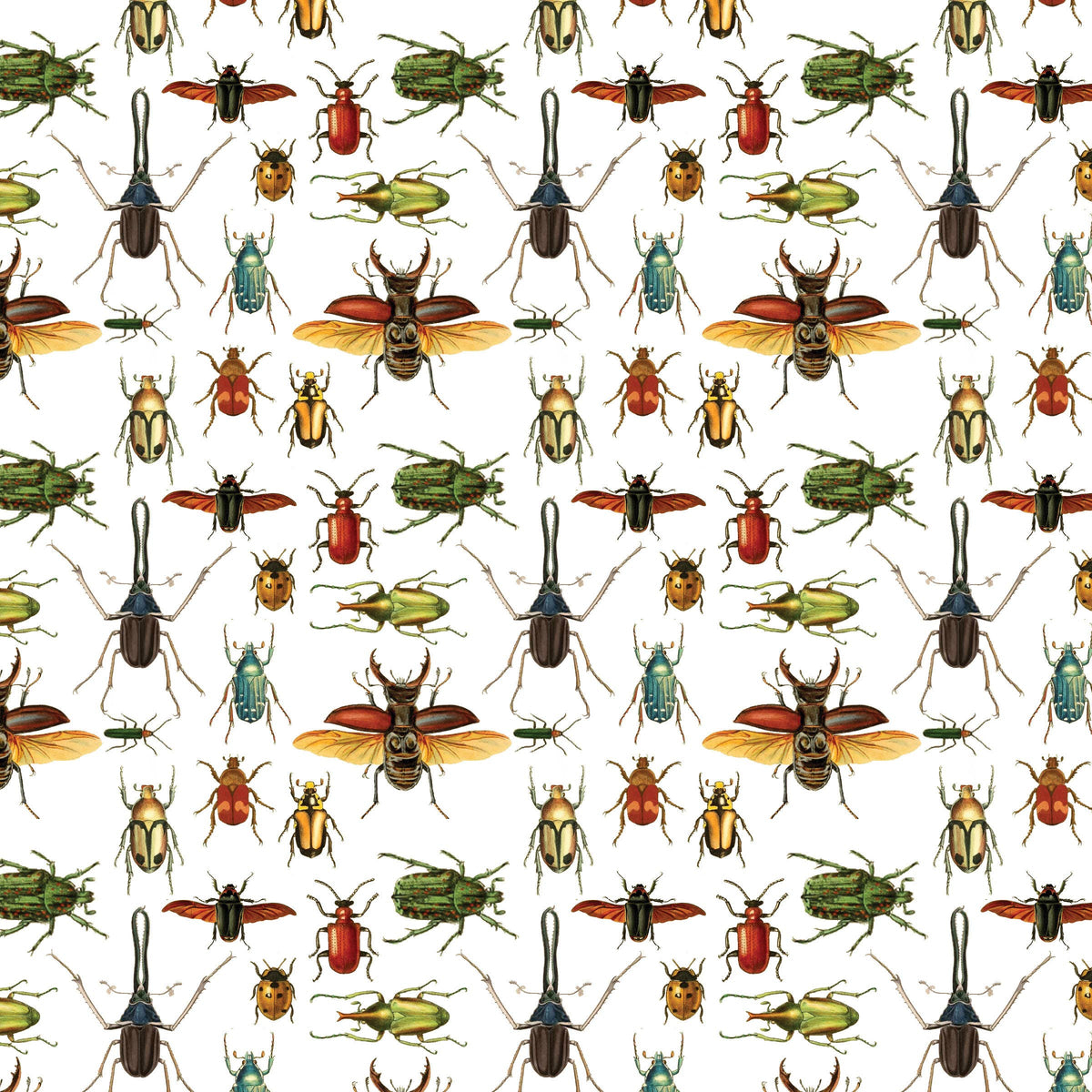 Beetles Gift Wrap Single Sheet