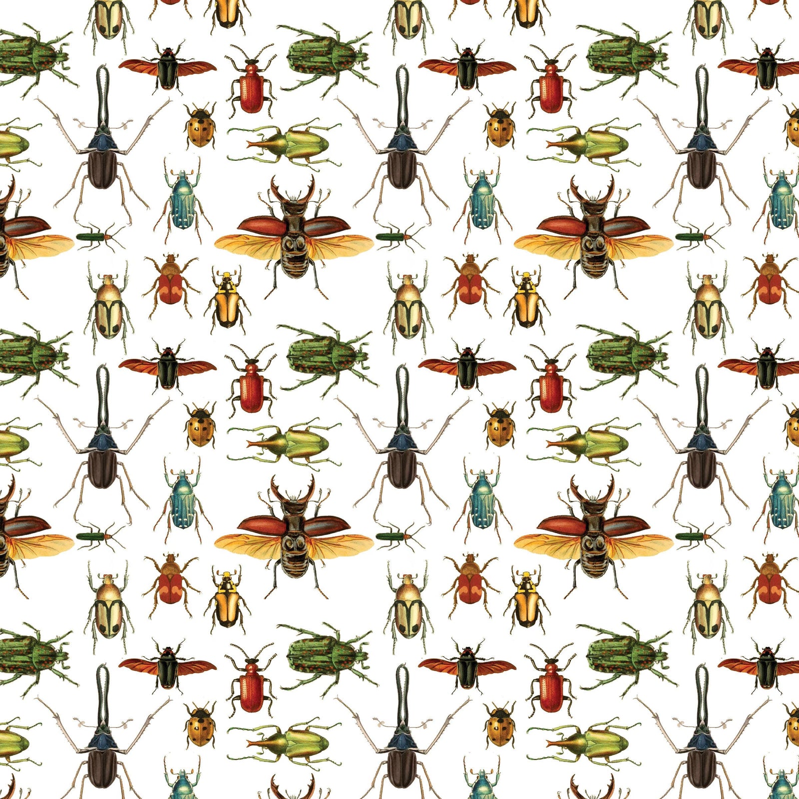 Beetles Gift Wrap Single Sheet