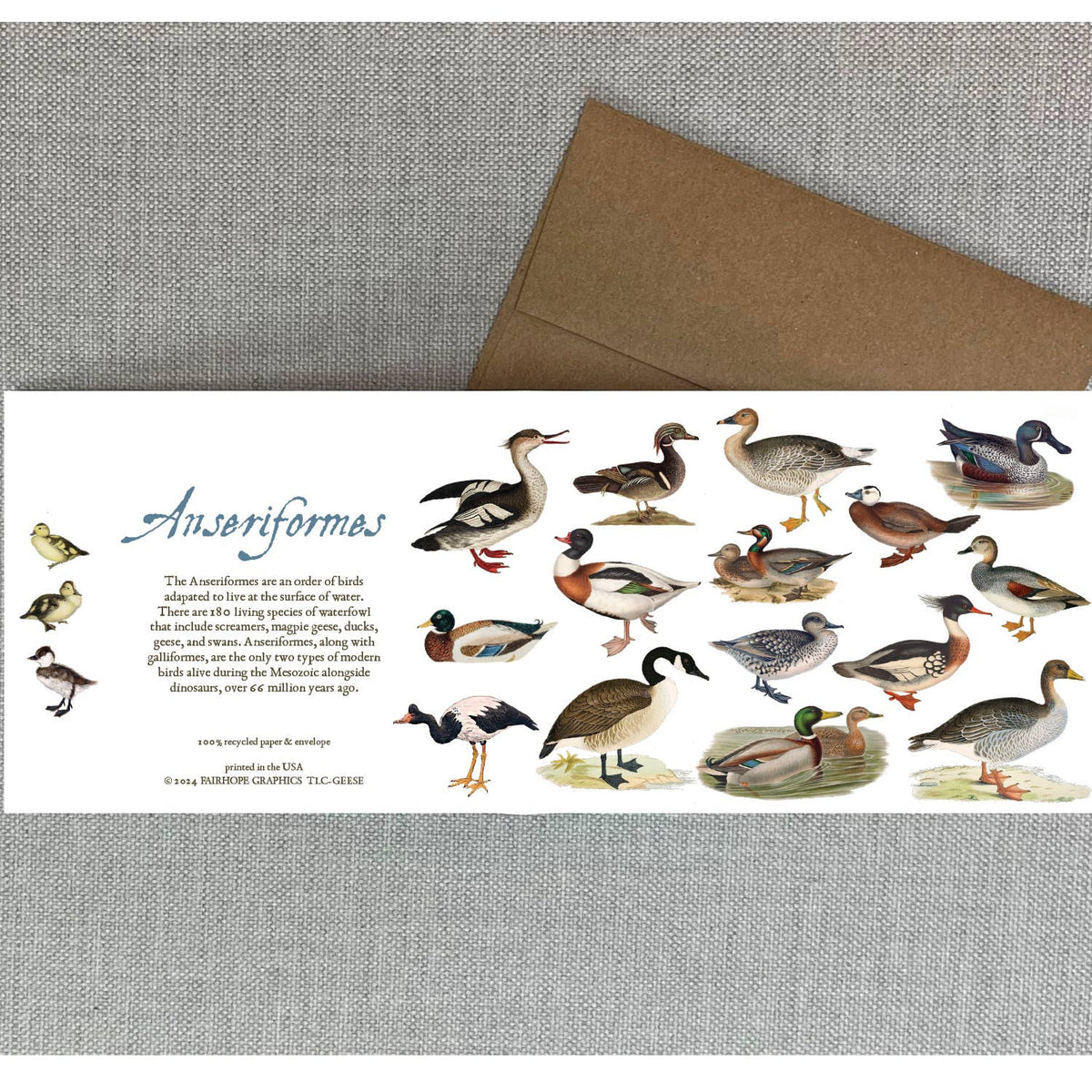 Ducks and Geese card
