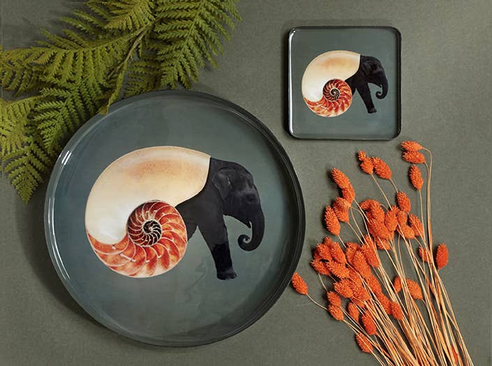 Shellephant round tray