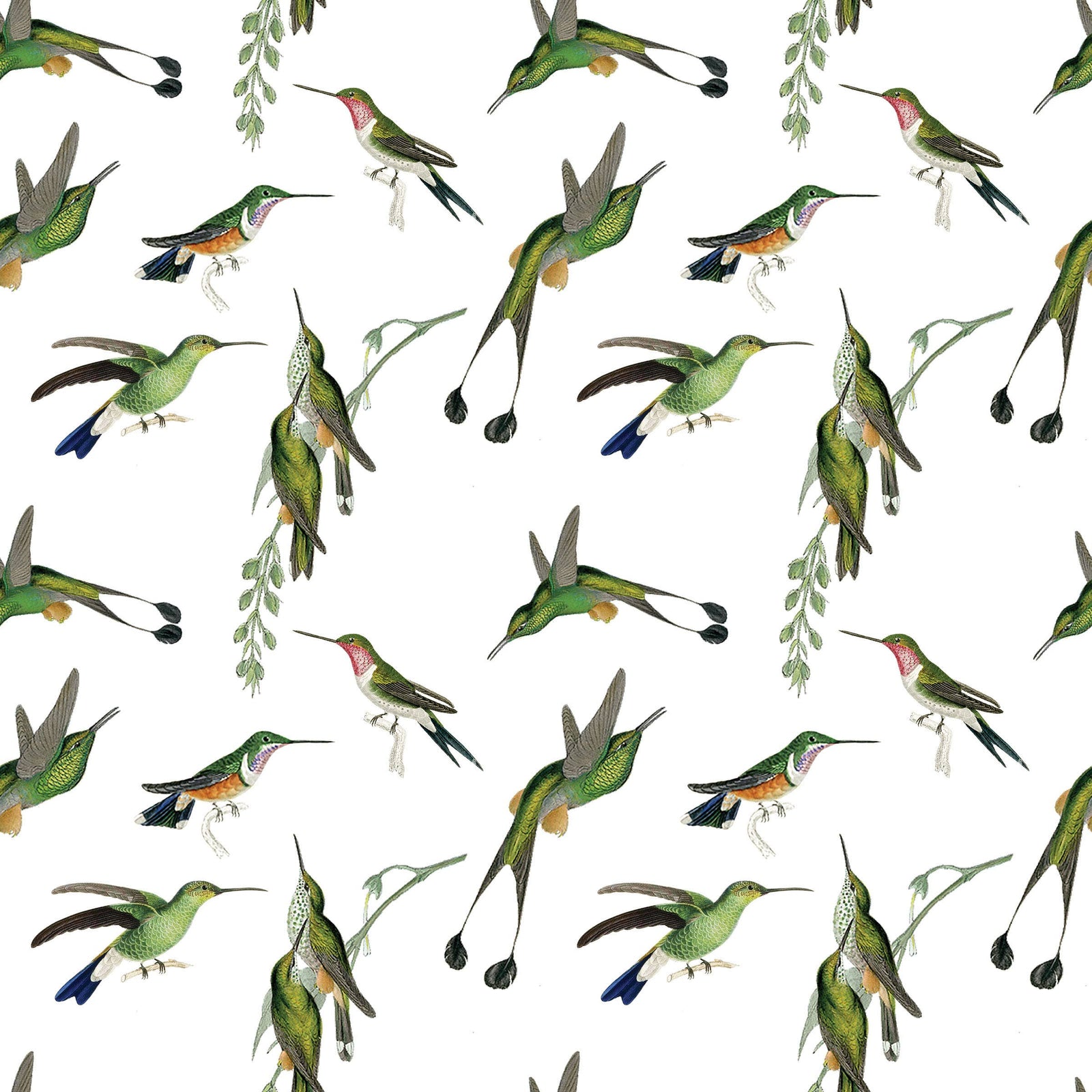 Hummingbird Gift Wrap Single Sheet