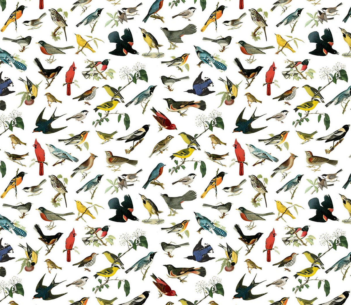 Songbirds - North American Gift Wrap Single Sheet