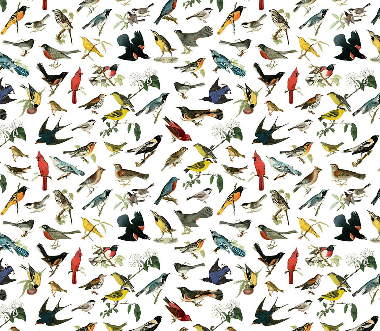 Songbirds - North American Gift Wrap Single Sheet