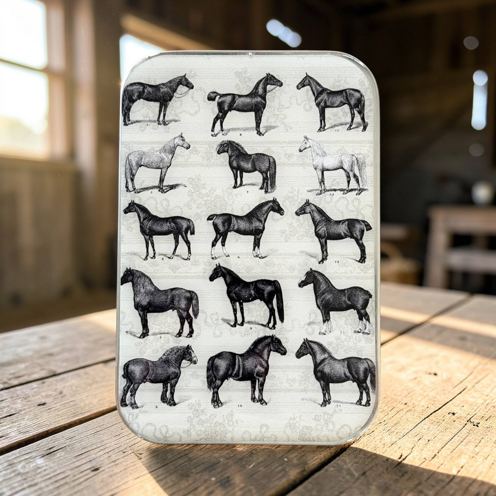 Study of Horses Notions Tin