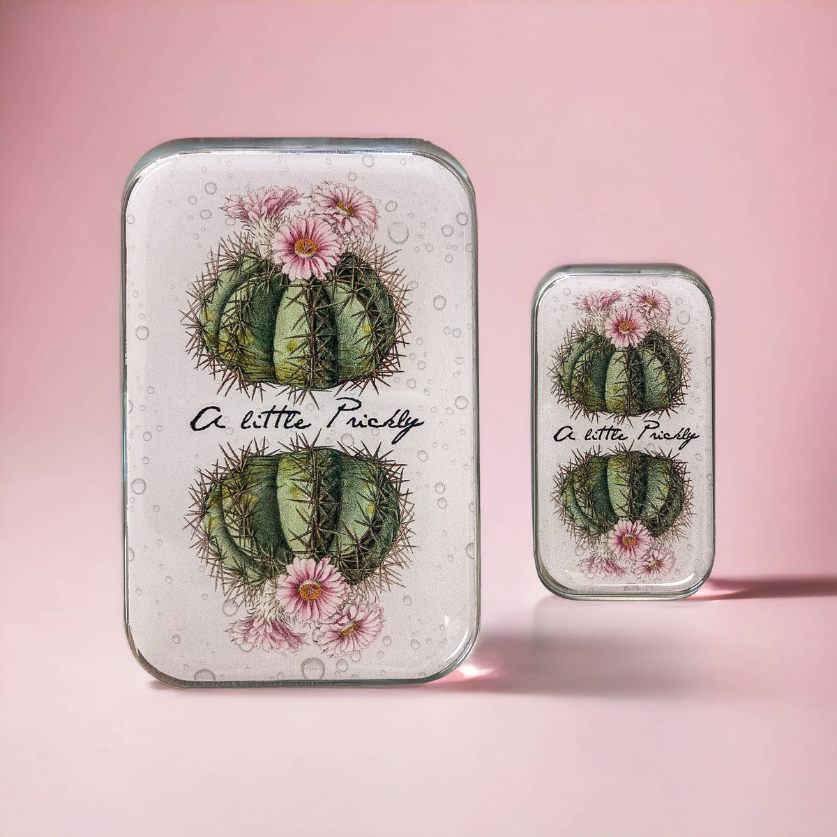 Cactus notions tin: Large