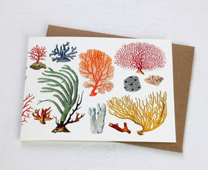 Coral Card